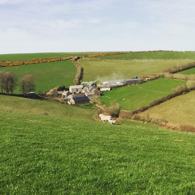 مبيت وإفطار لينتون Coombe Farm المظهر الخارجي الصورة